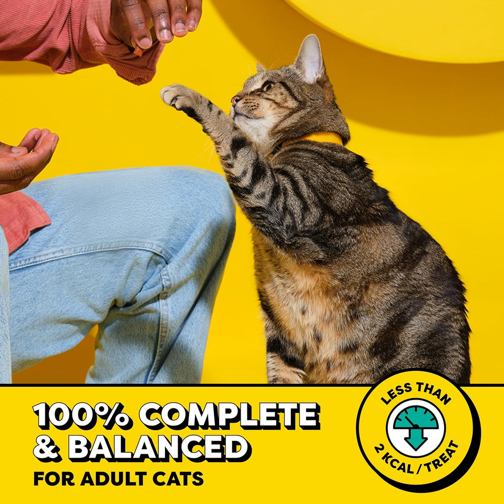 Temptations Classic Crunchy Cat Treats