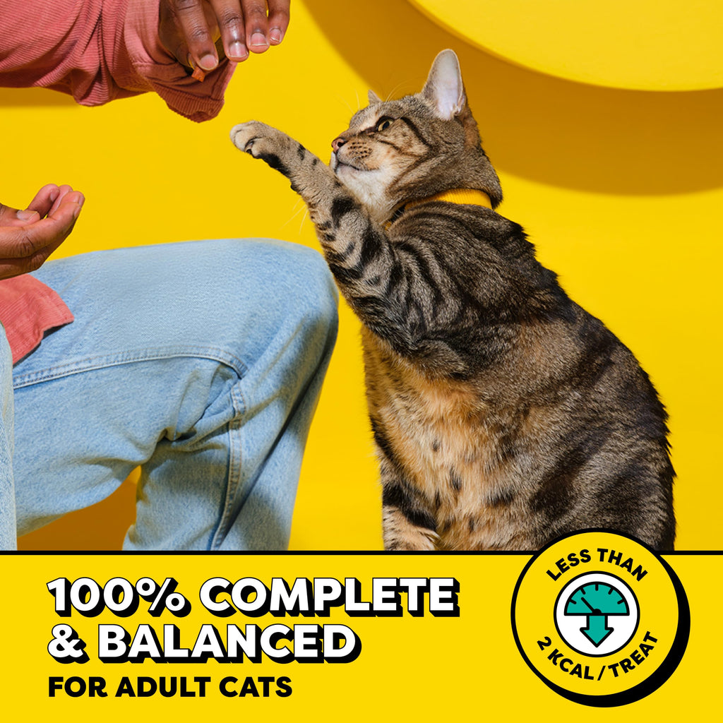 Temptations Classic Crunchy Cat Treats