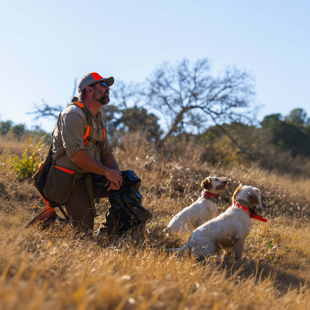 Training Collar Setup — dog training collar strap, product photo 7 of 24