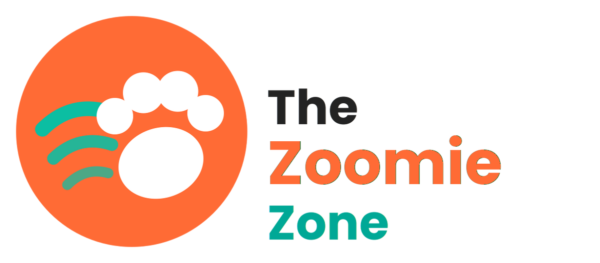 The zoomie zone